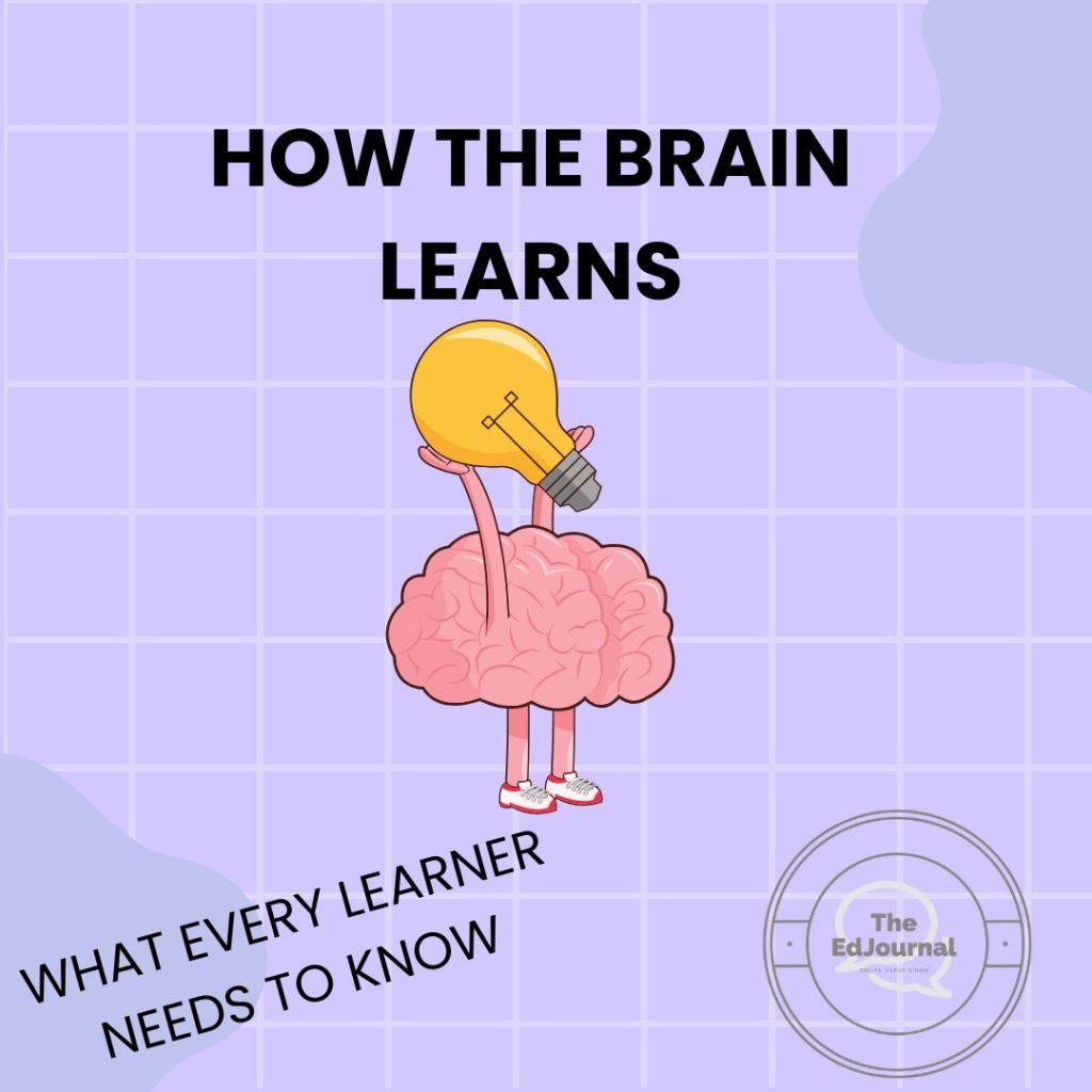 How the Brain Learns: What Every Student Should&nbsp;Know